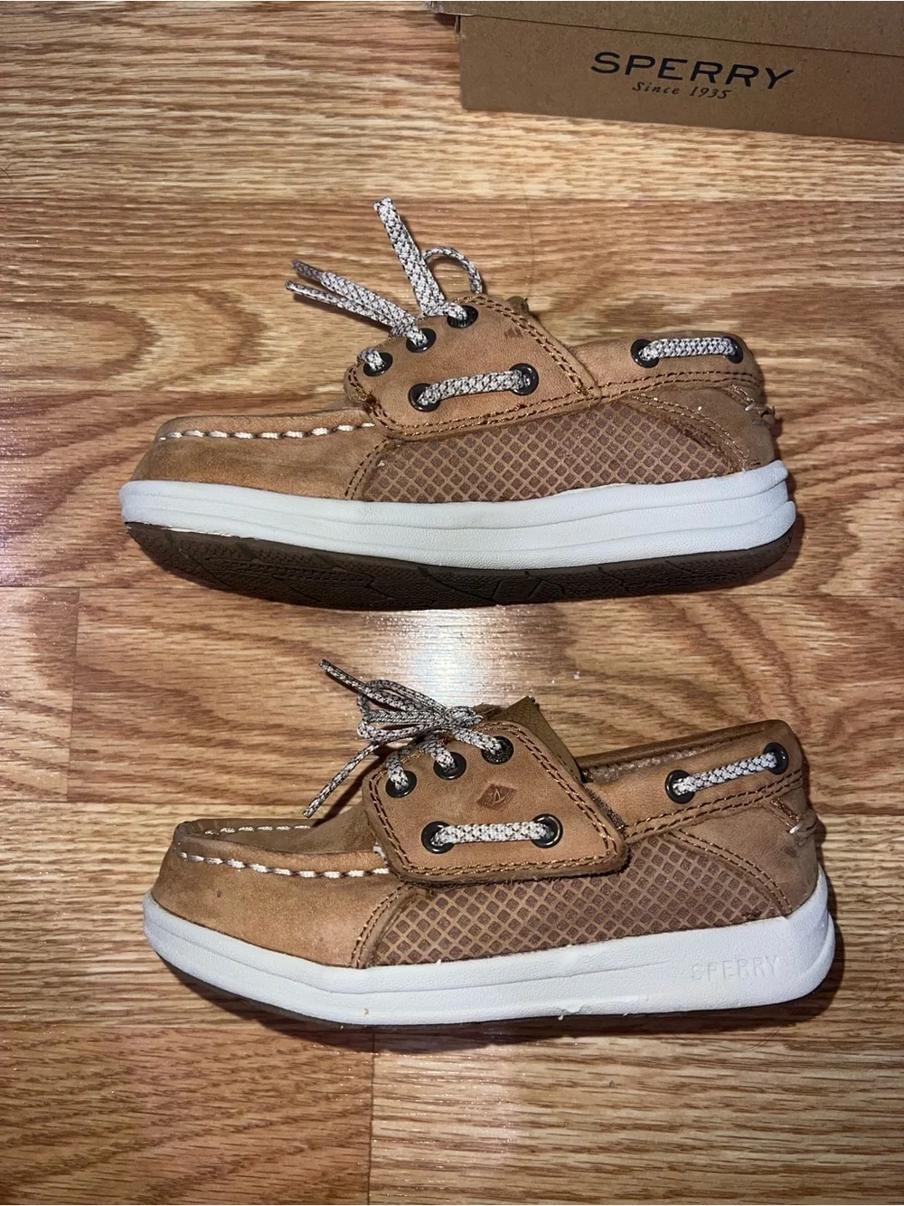 Sperry gamfish jr